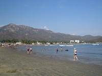 IMG_5310.jpg