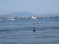 IMG_5313.jpg
