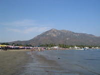 IMG_5314.jpg