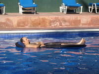 Siesta again!?! Are you seeing a pattern?