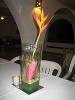 Dinner at the Beach Club on New Year's Eve