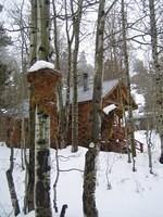 IMG_6918.jpg
