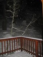IMG_6933.jpg