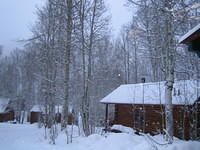 IMG_6946.jpg