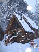 IMG_6947.jpg