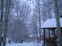 IMG_6949.jpg