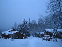 IMG_6951.jpg
