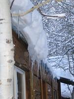 IMG_6954.jpg