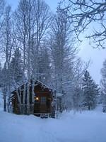 IMG_6956.jpg