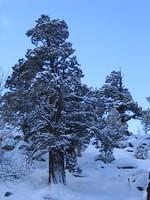 IMG_6966.jpg