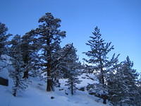 IMG_6968.jpg