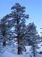IMG_6969.jpg