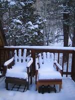 IMG_6972.jpg