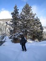 IMG_6992.jpg