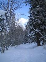 IMG_6993.jpg